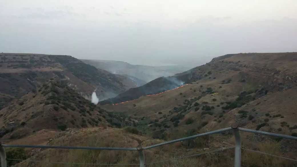 אזור השריפה ברמת הגולן, הבוקר