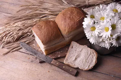 לחם ושיבולים
