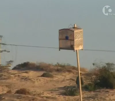 ציד ציפורים בעזה. אין כסף למונית לעבודה