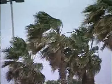 סערת רוחות בחיפה