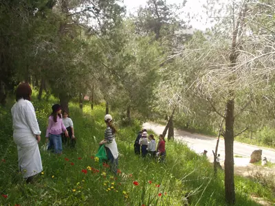 פעילות סביבתית בשכונה