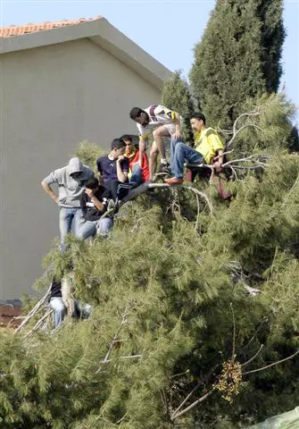 הקמפיין, מבריק ככל שיהיה, לא הגיע אל מרבית התושבים וכמות המנויים צנחה ל-1,100 בלבד. האוהדים נעלמים