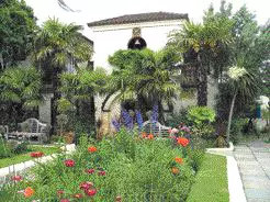 פאטיו בסגנון ספרדי עם צמחיה טרופית וסוב-טרופית