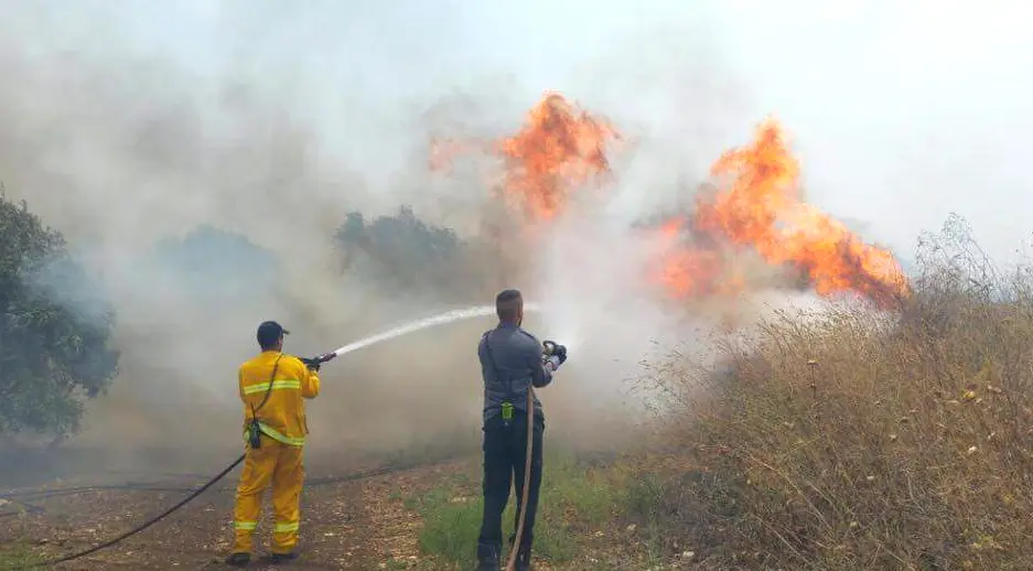 שריפה ביער בית קשת שבעמק יזרעאל. 4 ביוני 2016