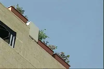 אנטנה סלולרית מסווית על גג בניין מגורים