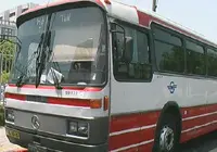 אוטובוס. יורשה להסיע תלמידים רק עם חגורות בטיחות