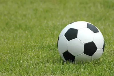 כדורגל על דשא