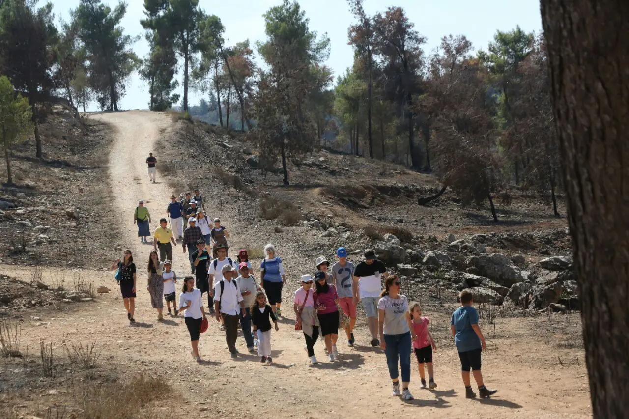 מטיילים במצפה נפתוח, ביער מורדות רמות בירושלים, 24 באוקטובר 2016