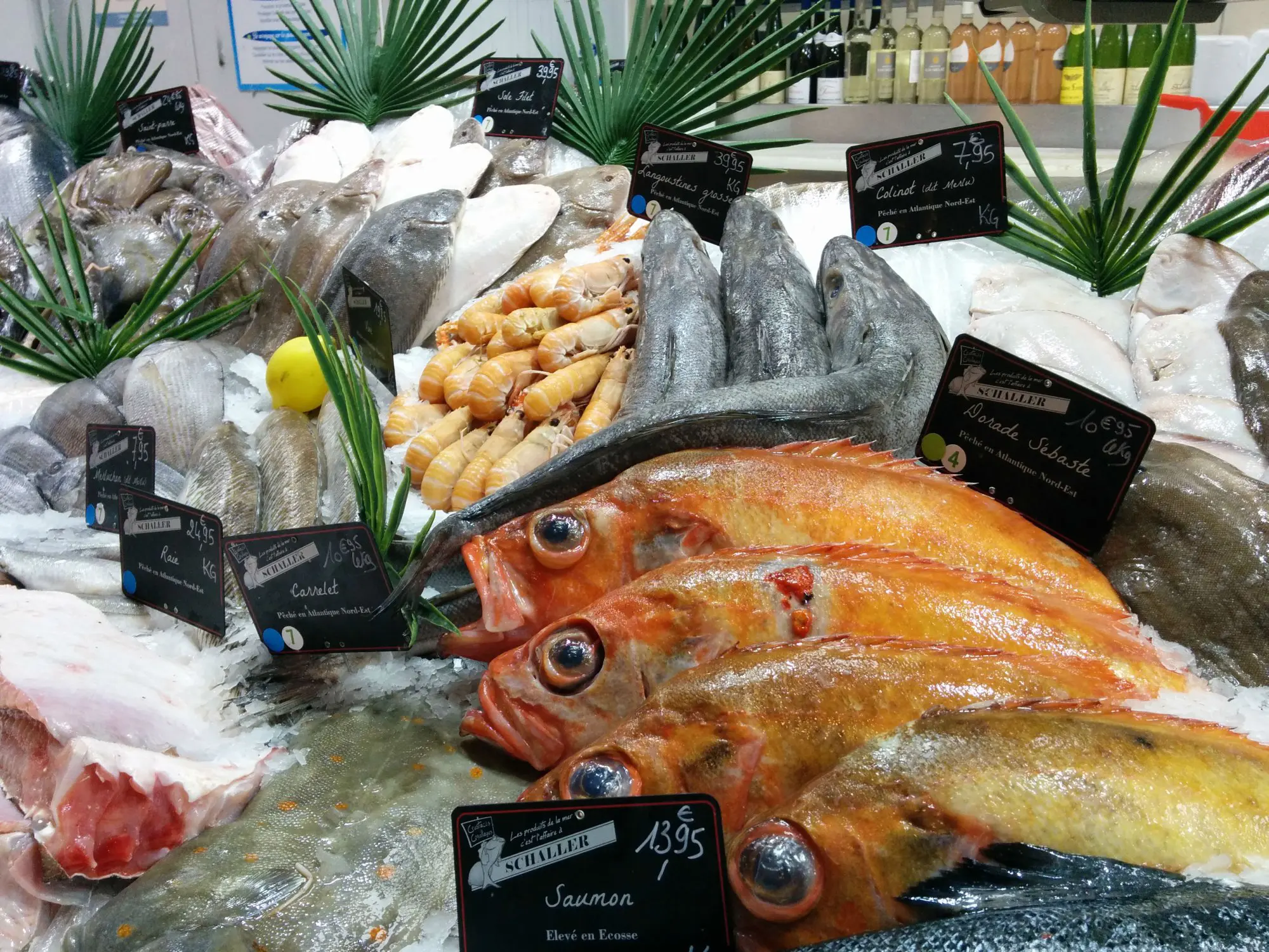 שפע דגים ופירות ים בכיכר העיר. לבשל מוצרים משובחים כאלה היא הרפתקה גסטרונומית מלהיבה, אותה יכול התייר לחוות רק במטבח המוטורהום