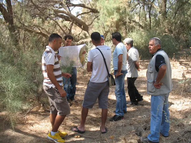 סינגלים ביערות קק"ל