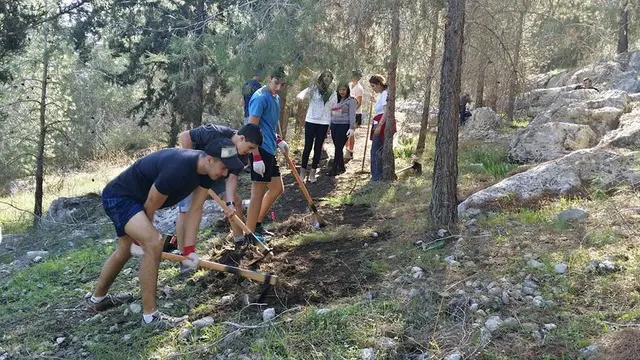 סינגלים ביערות קק"ל