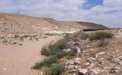 המדבר של שלומי. מקבל בברכה מחפשי דרך