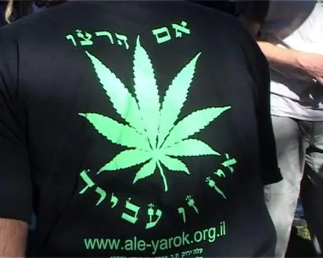 יום המריחואנה שנערך בחודש מאי בתל אביב