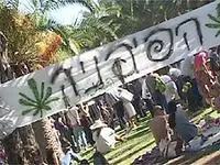 יום המריחואנה בפארק 2001. "בית המשפט חיזק הזכות לקבל החלטה עצמאית בעניין"