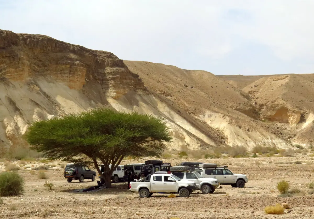 הר הנגב שופע עצים רחבי נוף, ומצוקי סלע המעניקים צל. מקום אידיאלי להפסקת צהריים ואף שנ"צ