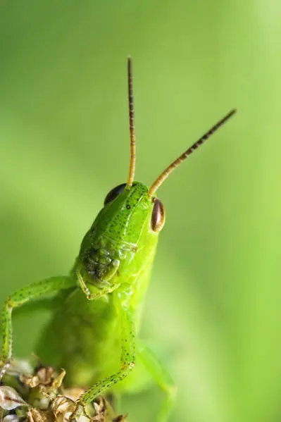 מכבי האש האלה, שעה עד שהם הגיעו