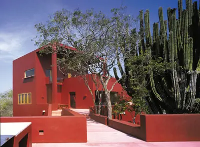 בכניסה לבית גרם מדרגות רחב וצמחייה מקסיקנית טיפוסית