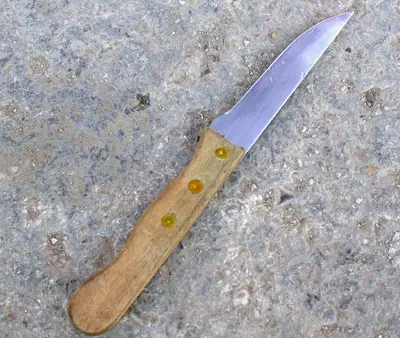 הסכין שנמצאה בידי המחבל