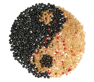 על פי הרפואה הסינית זרעי הקנאביס מלחלחים את המעיים ועוזרים למטופלים חלשים חסרי אנרגיה