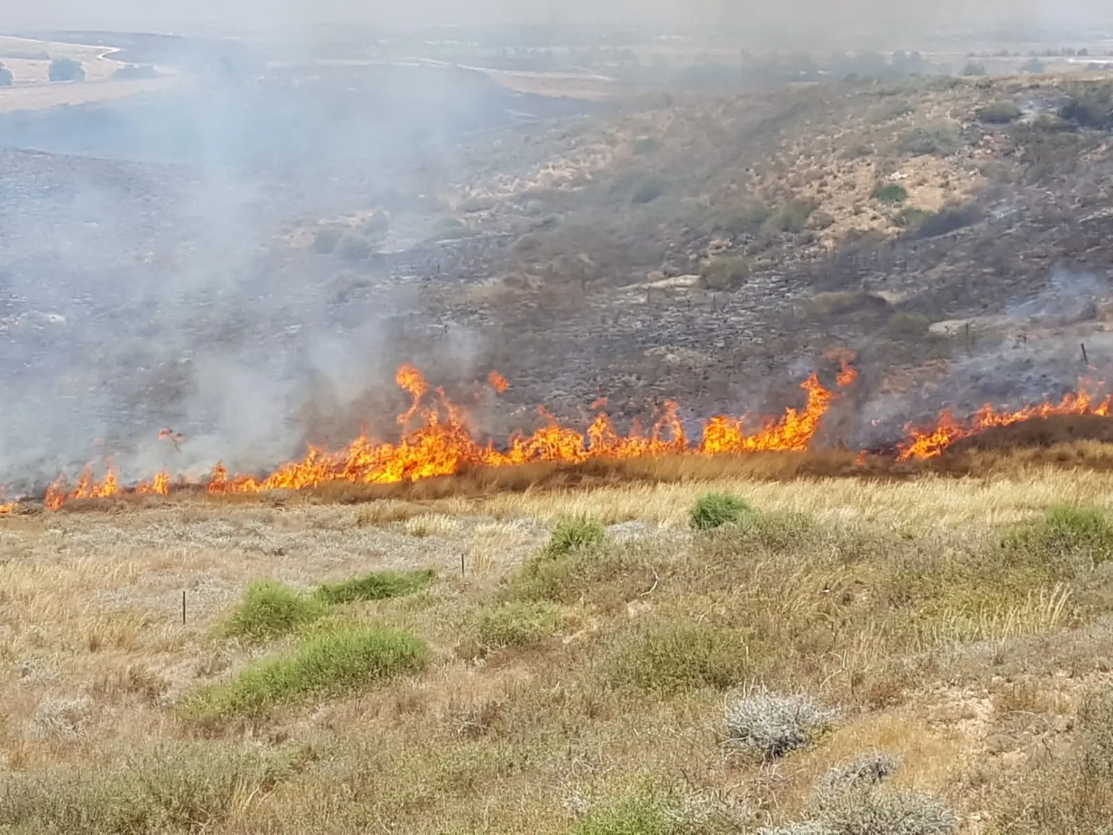 שריפה באזור קיבוץ מפלסים