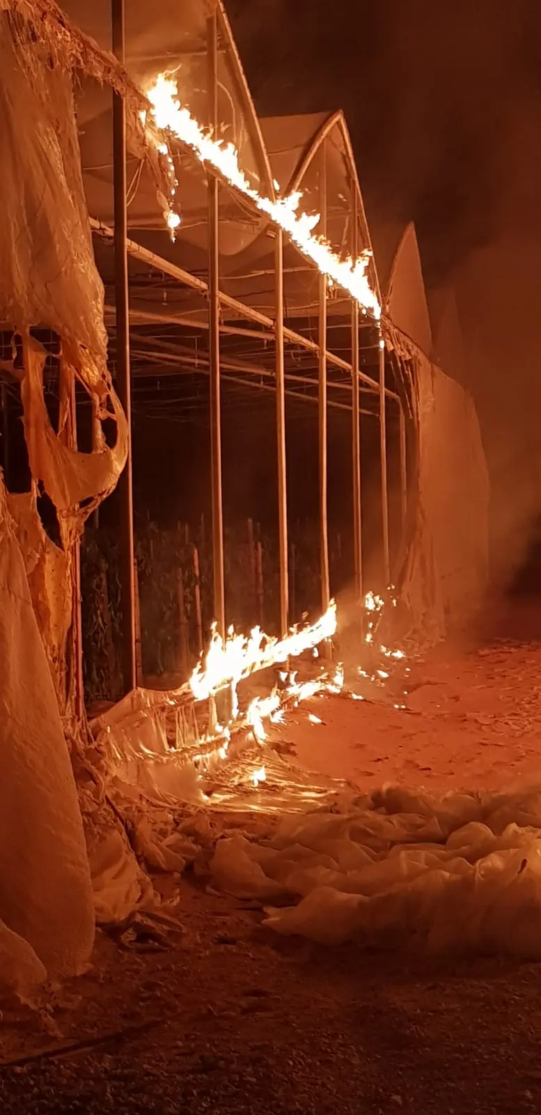 שריפה בחממות בקיבוץ בעוטף עזה כתוצאה מפצצת תאורה של צה"ל לאחר חדירת מחבל שנעצר