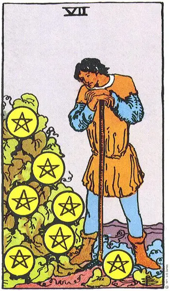 טארוט קלף שבע מטבעות seven pentacles