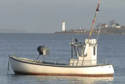 בשנה האחרונה ספינות ממדינות האיחוד האירופי עברו ב25% את הכמות המותרת מבחינה בינלאומית של דיג הטונה