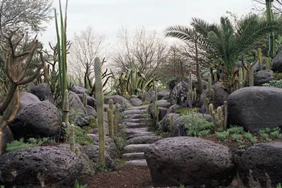 גן הקקטוסים בפארק הירקון