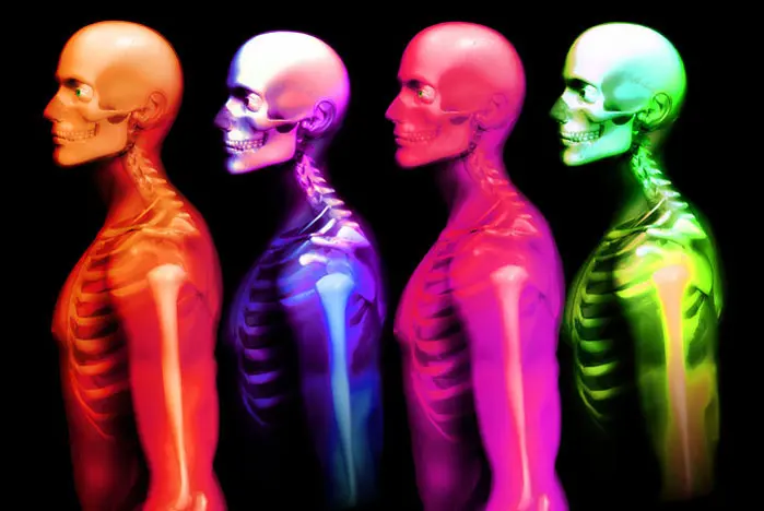 אין כמו איזה שלד טוב במוזיאון