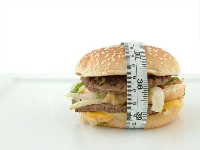 "באופן פרדוקסלי רשתות המזון המהיר אפילו מרוויחות בעקיפין מהיסטריית ההשמנה"