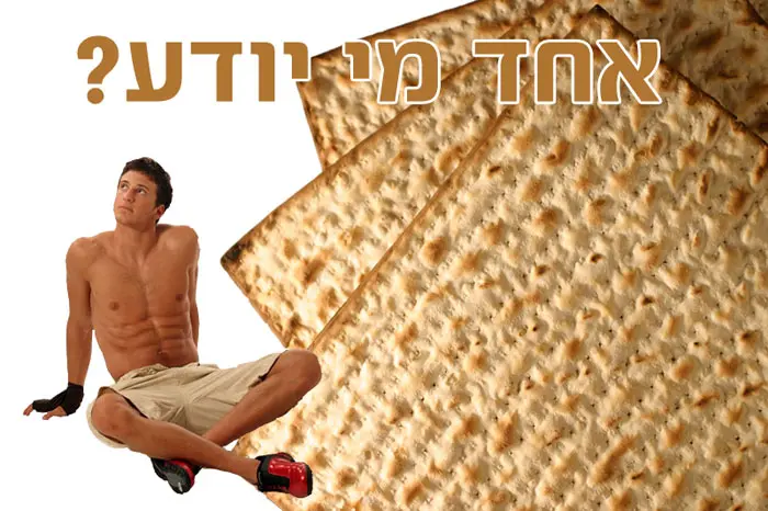 גם מייקלואיס, כמו כל היהודים, עסוק במספרים