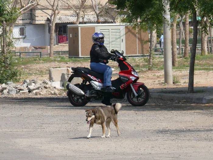 צילומים: אורן קוזלובסקי, ריידרס