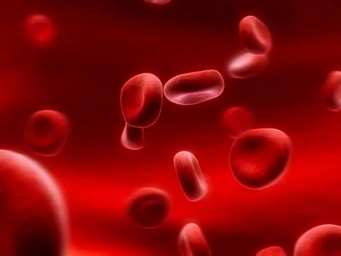 תאי גזע מדם טבורי משמשים כבר כיום להשתלה בחולים ועשויים להציל חיים