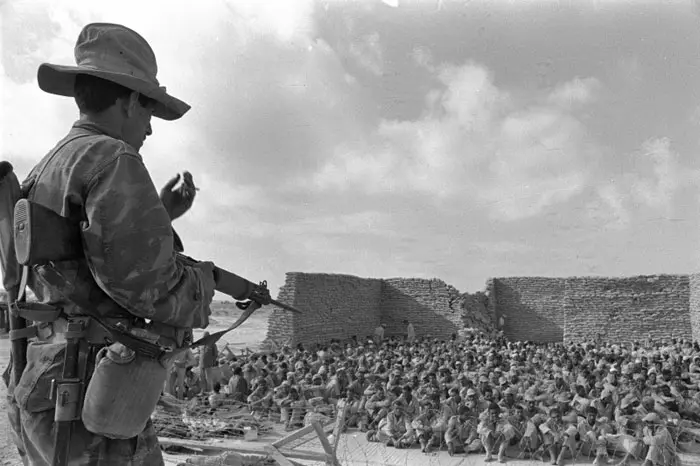 ההשפלה גרמה להצנעת המלחמה. שבויים מצריים באל עריש, יוני 1967