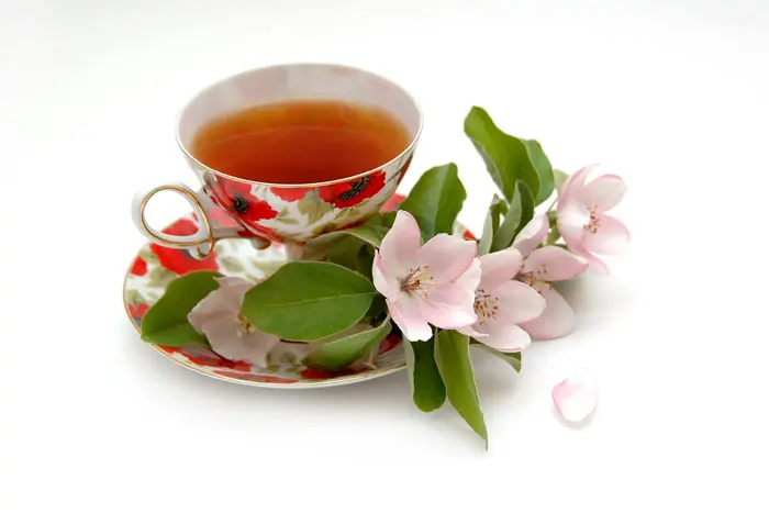 הרפואה הסינית המליצה כבר לפני מאות שנים על שתיית תה ירוק