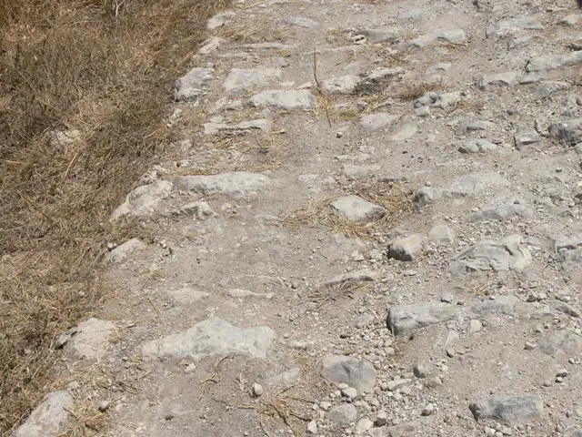 דרך רומית מול דרך ישראלית
