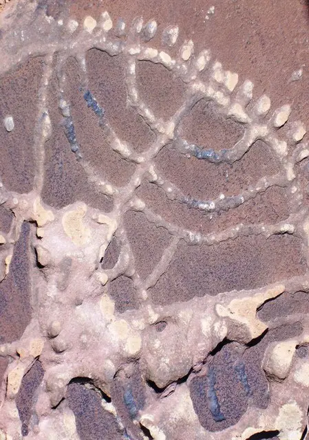 טיול שטח למרוקו - מנורה בציור סלע ברבר