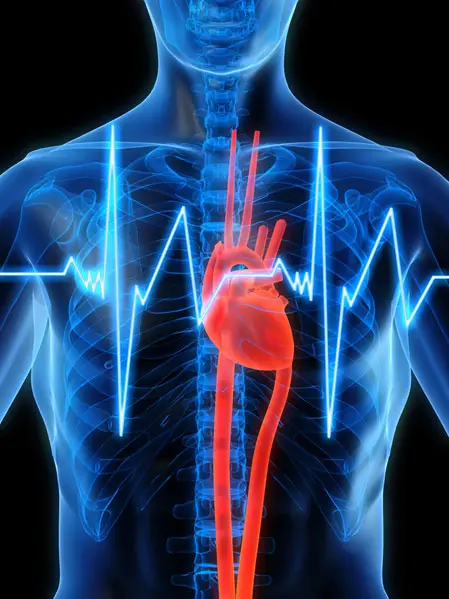 חברת סייפ-סקי טענה לפיתוח מדבקה חדשנית שיכולה להתריע לפני התקף לב