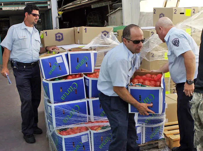 "המדינה, והיא לבדה צריכה ללוות את אזרחיה באופן אחראי מלידה עד זקנה"