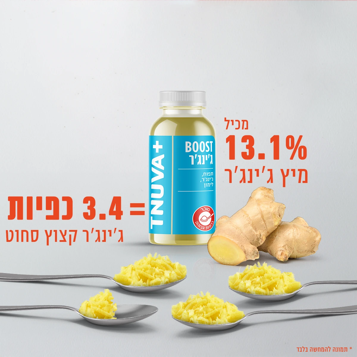 סדרת הבוסטים של TNUVA+ - ג'ינג'ר