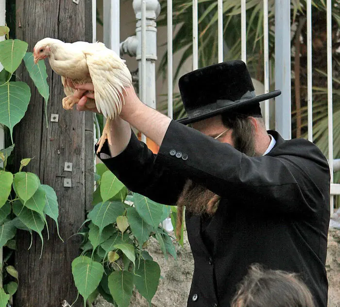 הזזת השעון רק תעביר את שעות הצום ביום כיפור לשעות חמות יותר