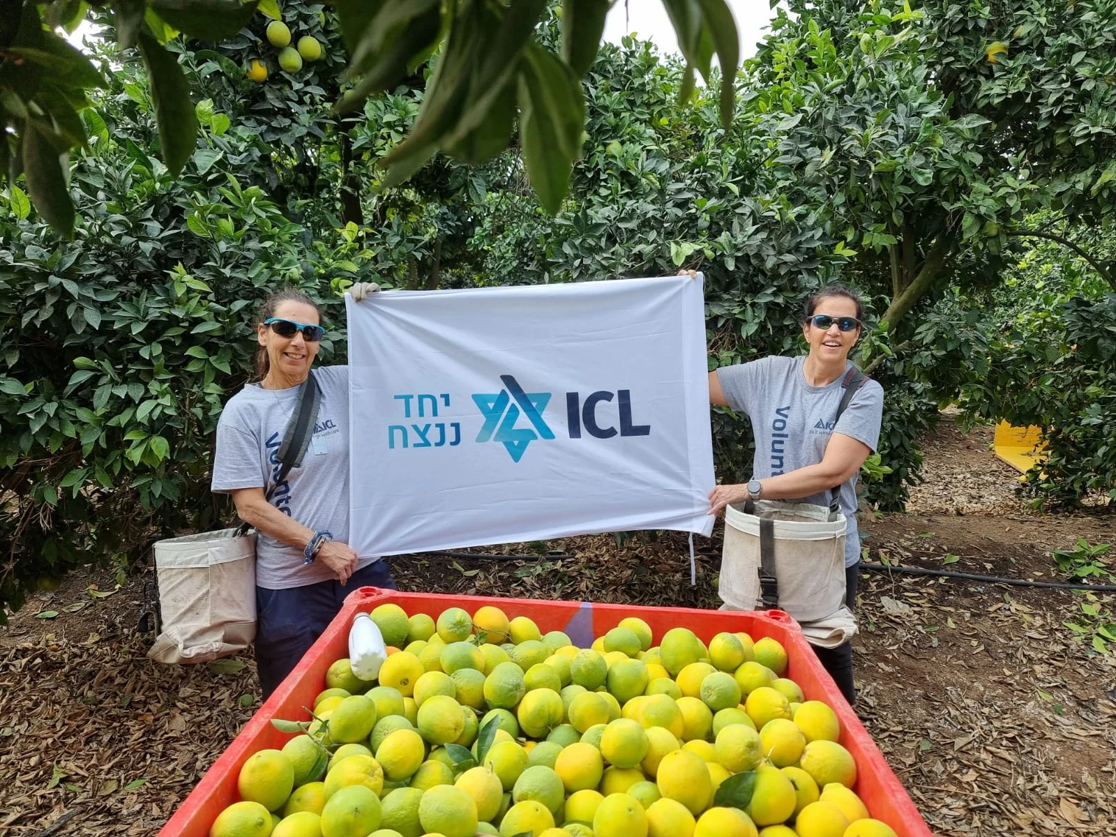 חברת ICL הקצתה תרומות מיוחדות בהיקף של כ-12 מיליון שקל