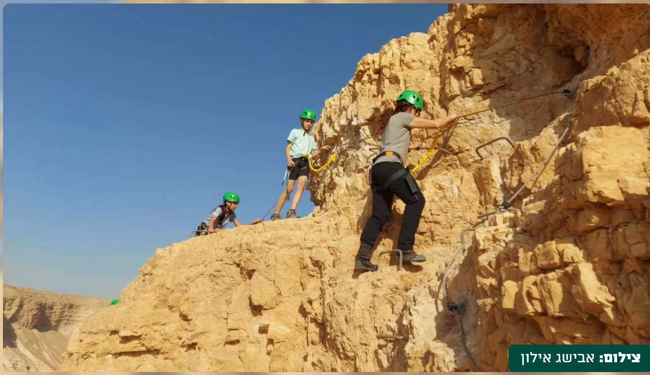 פעילויות במצדה
