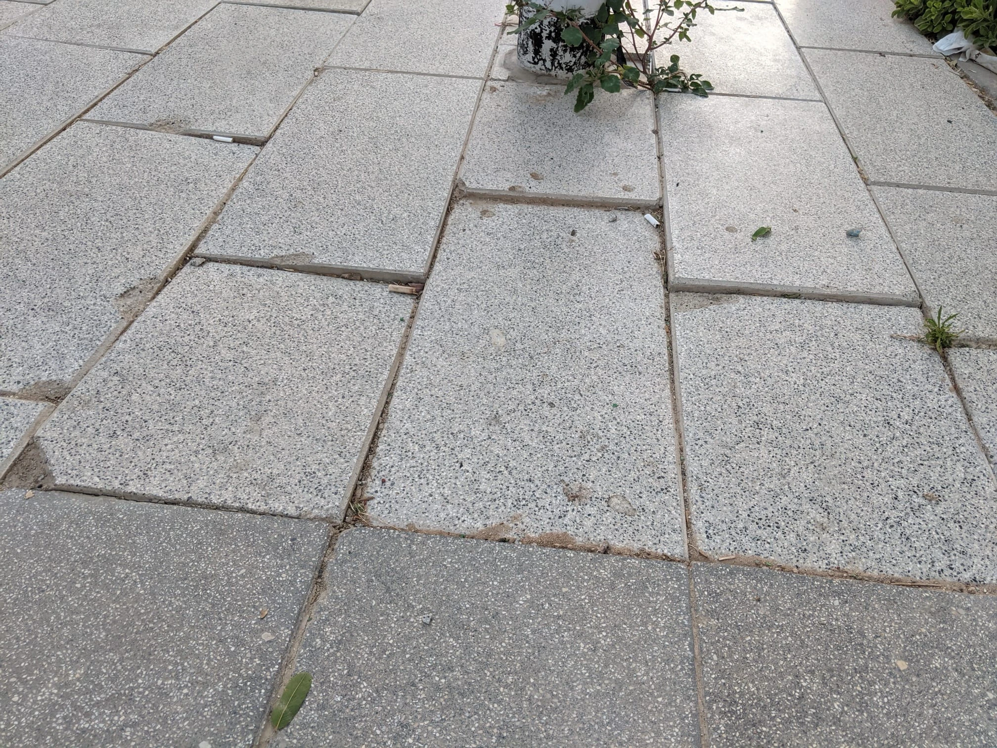 מרצפות ששקעו בשכונת סיגליות