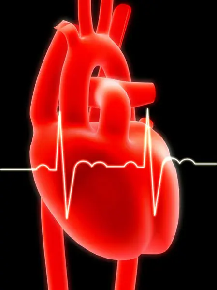 הסיכוי לחלות במחלות לב פוחת בקרב גברים