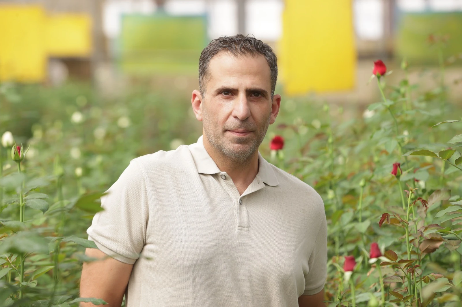 רואי אליהו.