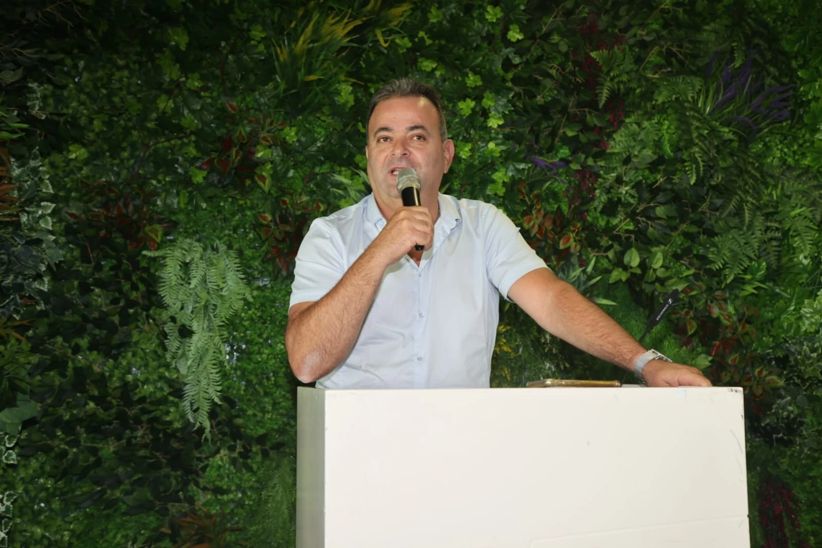 שרלי שריקי
