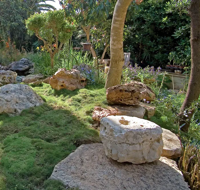 גן סלעים העולים מתוך מדשאת זויסיה יפנית קטנה ומיוחדת, המתאפיינת במראה בעל בליטות, כריות ושקעים