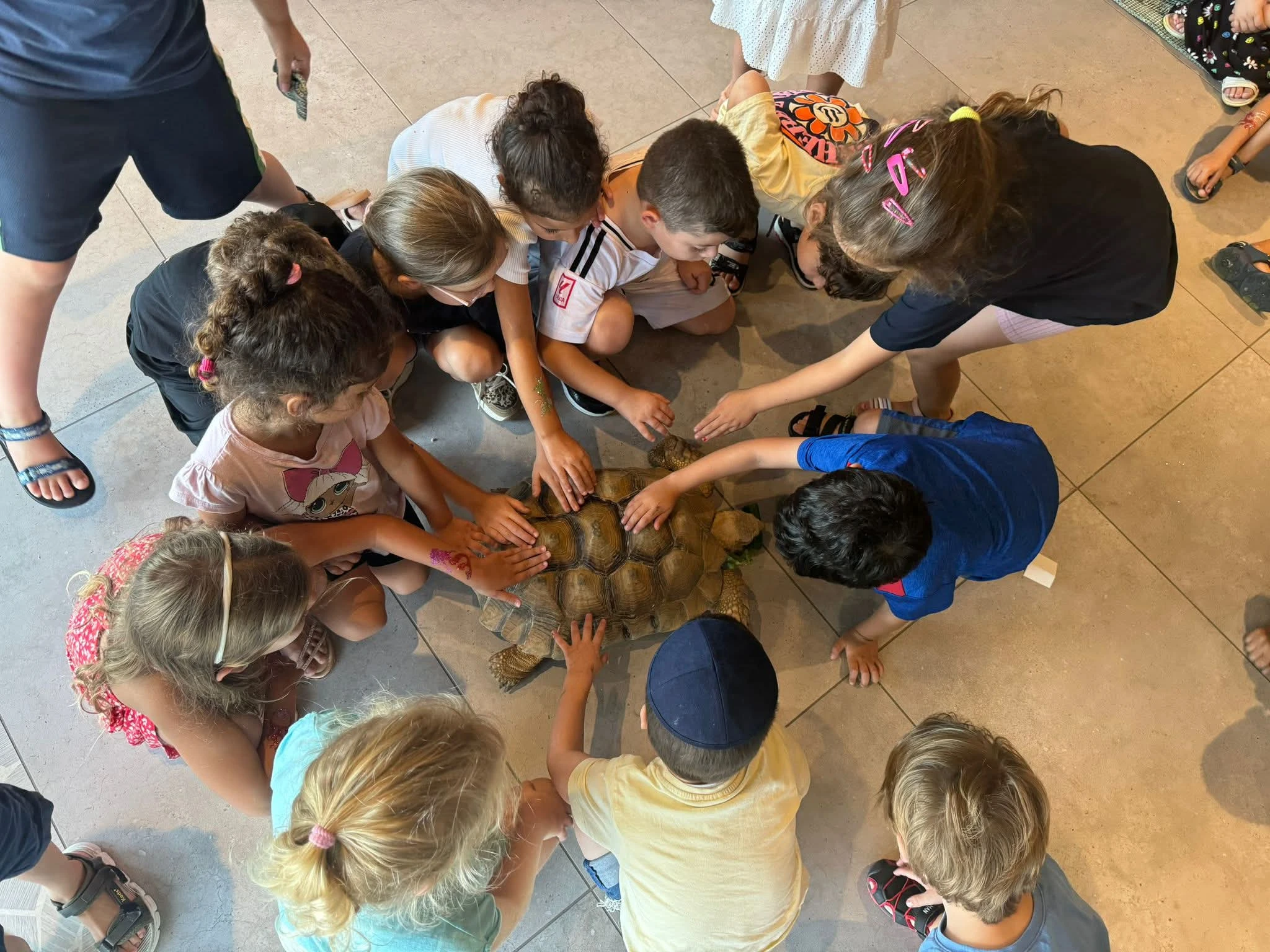 קייטנת הקיץ של ילדי NOVA.