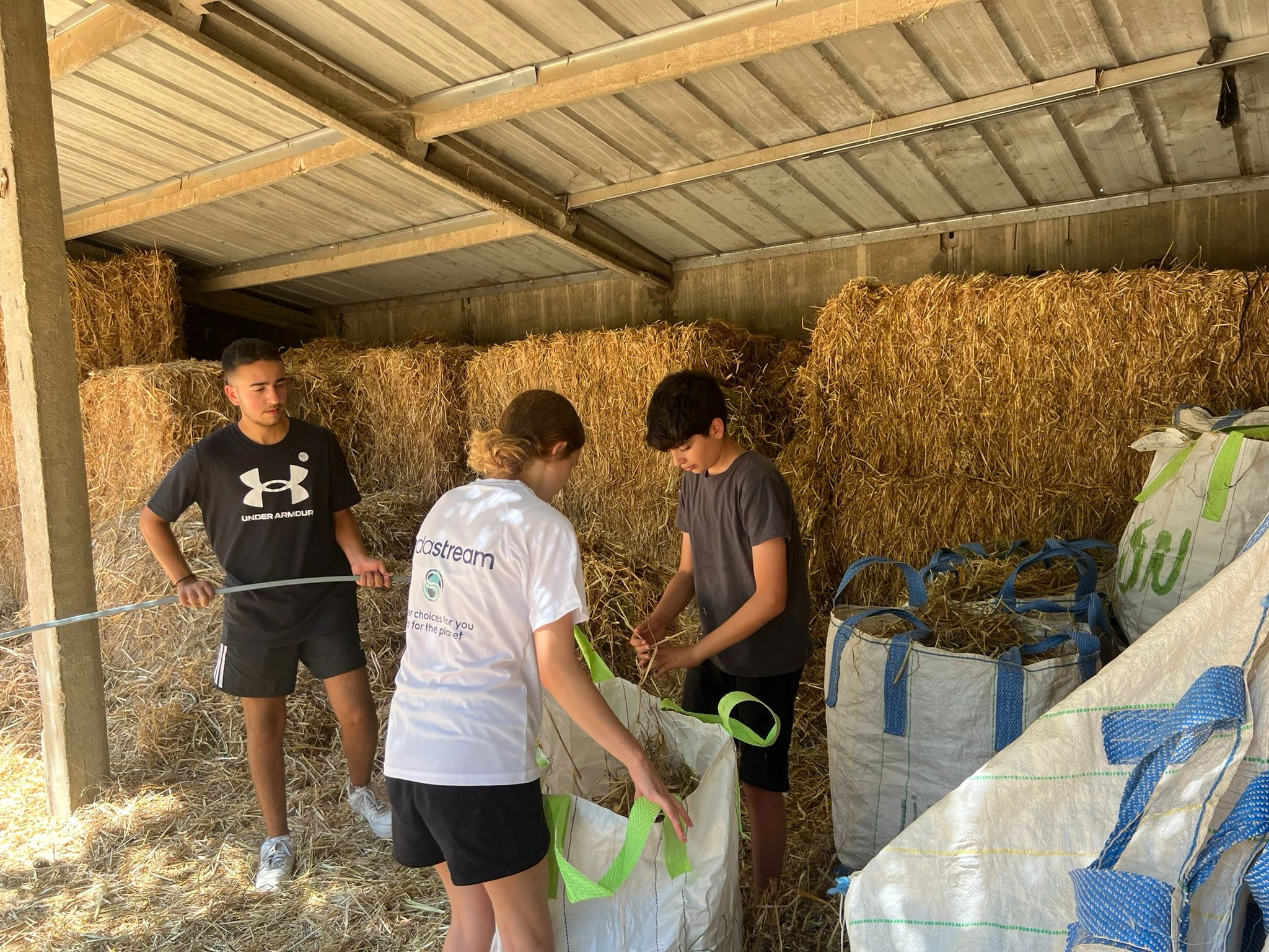 בני נוער מלכלכים את הידיים במסגרת תוכנית תעסוקיץ של סודהסטרים.